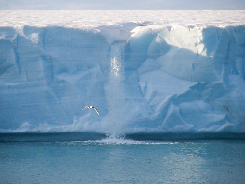 Illustration for article titled El glaciar más grande de Europa está desapareciendo